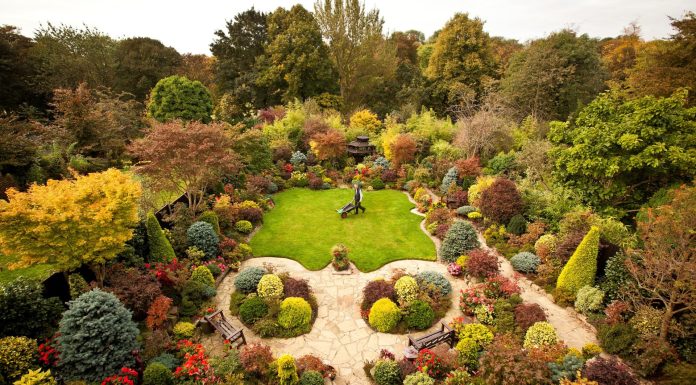 Growing pains: how the climate crisis is changing British gardens