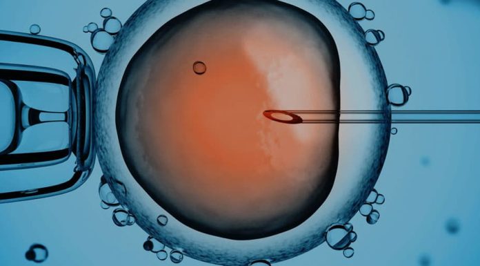 The Rise Of Reproductive Technology Amid Falling Fertility Rates
