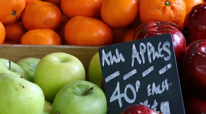 Tea, Apples, and Berries Could Stave Off Age-Related Memory Loss, Study Suggests