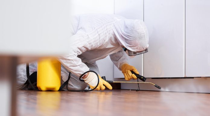 Combatting Household Pests: Finding Effective Solutions with Pest Control Services Near You