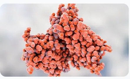 Anthocyanins: Origins, Composition, Analytical Techniques, and Utilizations